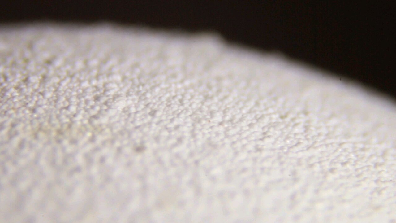 First video on the channel about usual things in super macro.