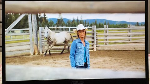 Heartland 16X6 Parker shows Jack, Lisa, and Lyndy the Zorse