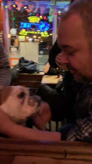 Man and bulldog