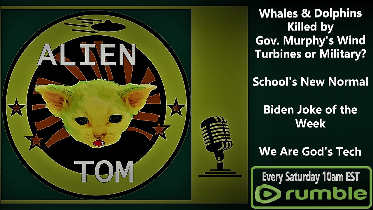 Whales & Dolphins Killed by Gov. Murphy's Wind Turbines or Military? School's New Normal, Biden Joke