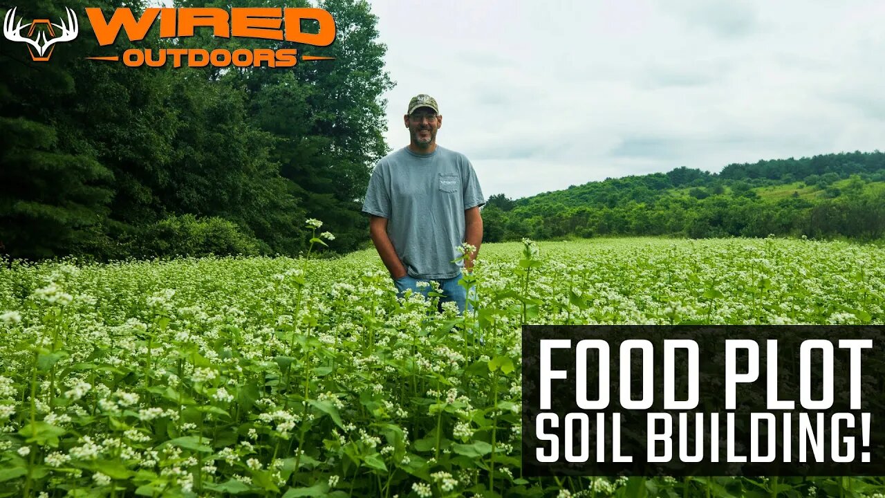 Food Plot Soil Building!