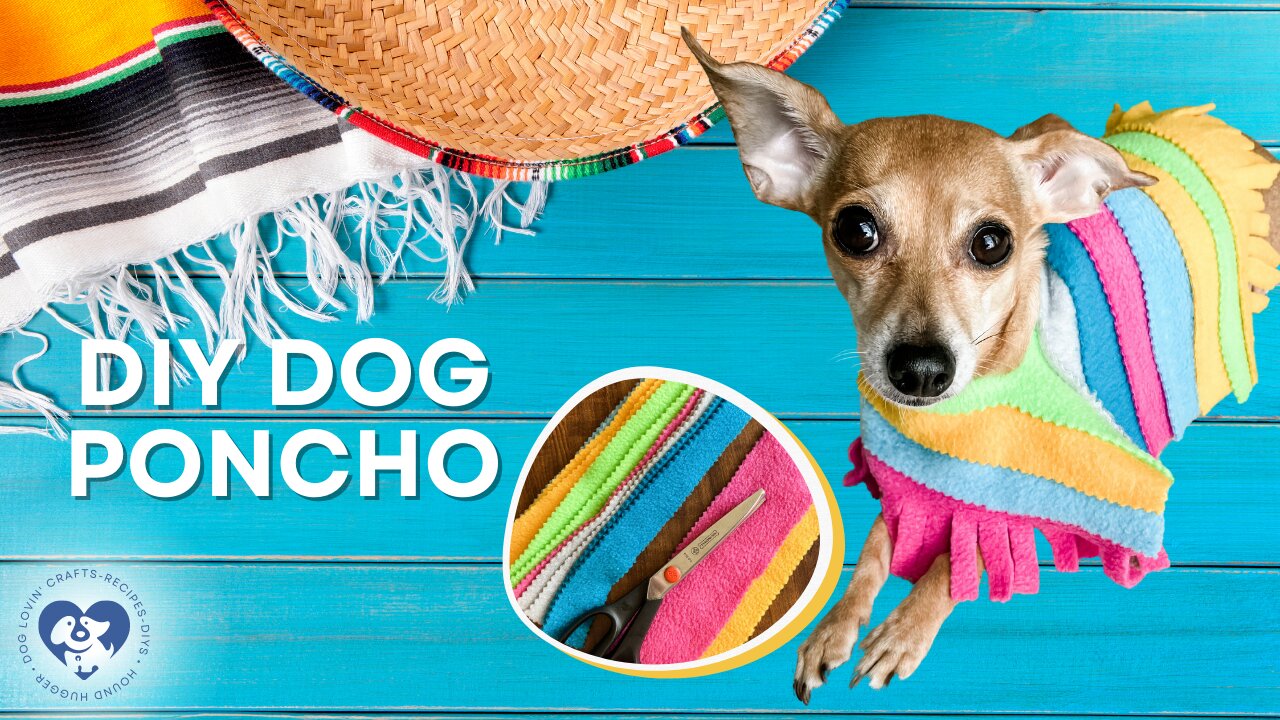 DIY Cinco de Mayo Dog Poncho