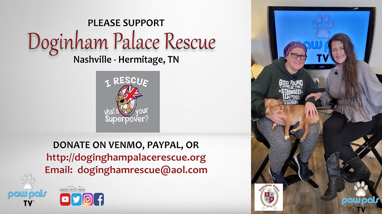 Paw Pals TV: Kat Lloyd with Jo Jarvis of Dogingham Palace Rescue in TN