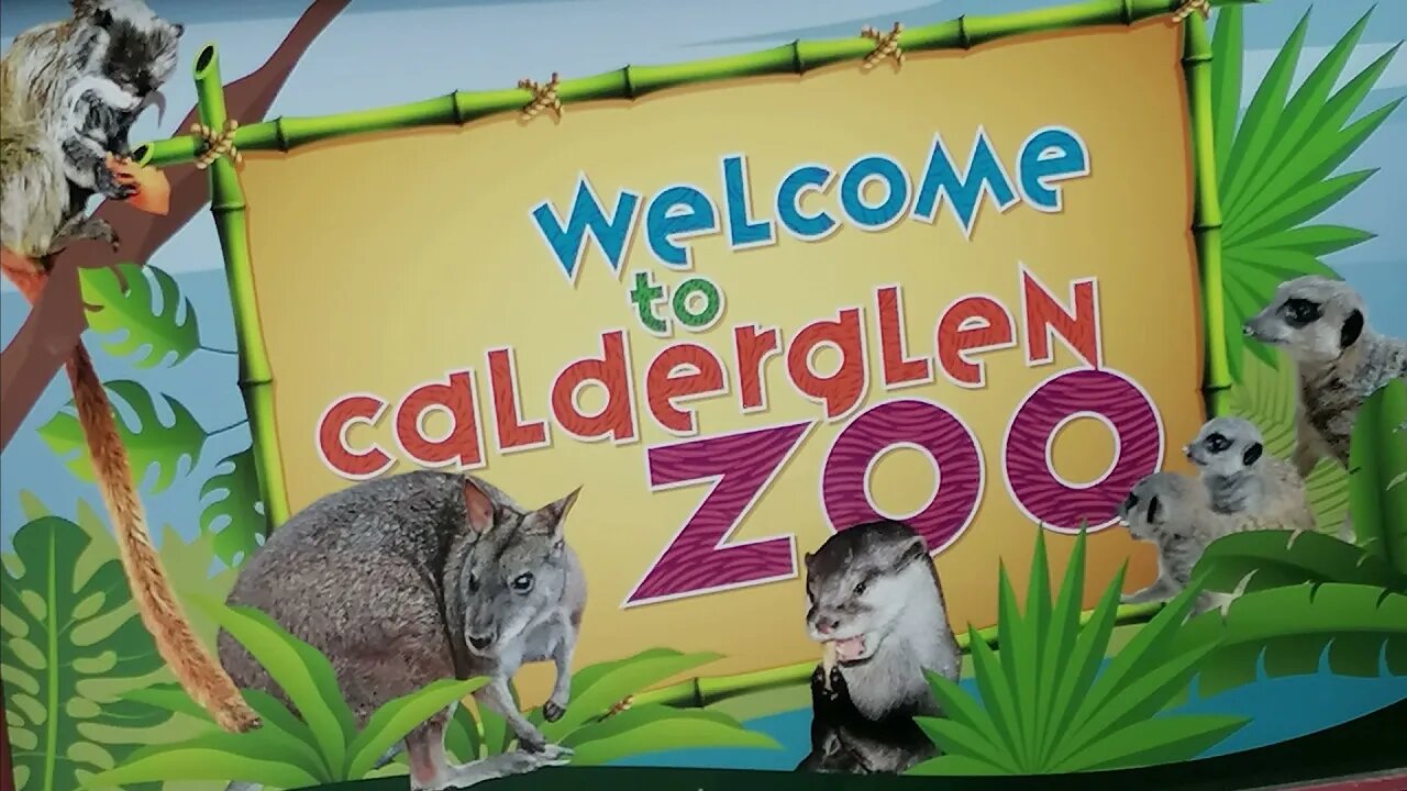 Out in the wild again - Exploring Calderglen Zoo #Animals #Zoo #exploring