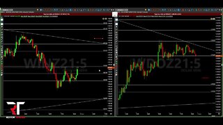 EAD REITOR TRADER - ACOMPANHAMENTO DE MERCADO B3 DIA 11/11/2021