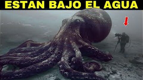 🚨HACE MINUTOS!🚨 Una Cámara Submarina Capta Lo Que Nadie NUNCA Debía Ver! 😱