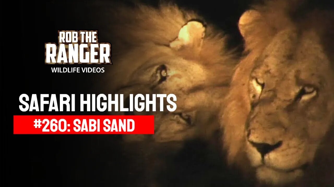 Safari Highlights #260: 14 - 16 March 2014 | Sabi Sand Nature Reserve | Latest Wildlife Sightings