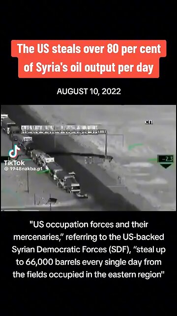 Freedom and democracy