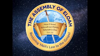 Studies in the Book of Matthew Chapter 11