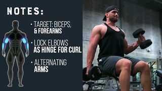Seated Hammer Curl - Alternating