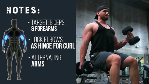 Seated Hammer Curl - Alternating