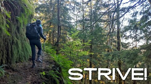 Strive!