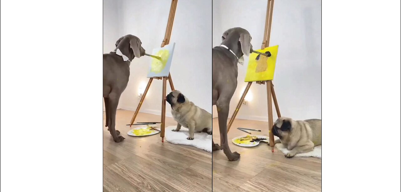 A Dog Paints On A Canvas