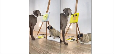 A Dog Paints On A Canvas