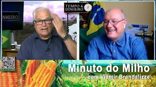 Milho com boas oportunidades na exportação