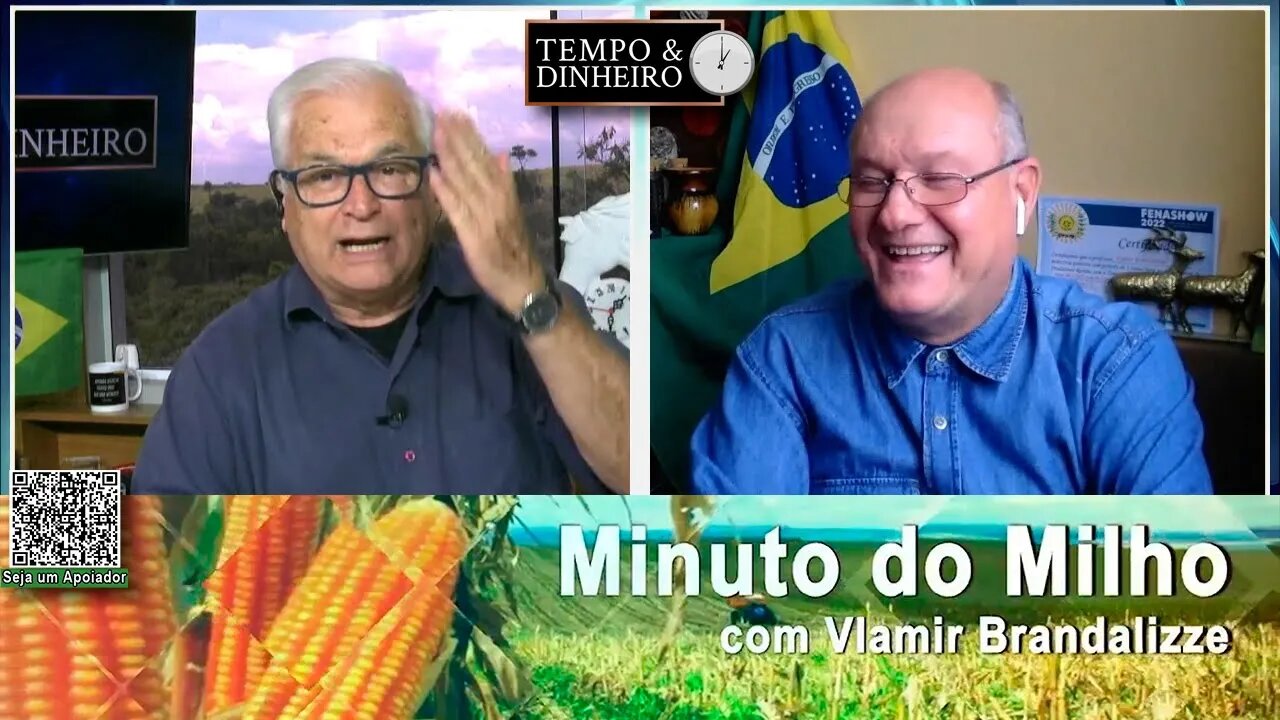 Milho com boas oportunidades na exportação