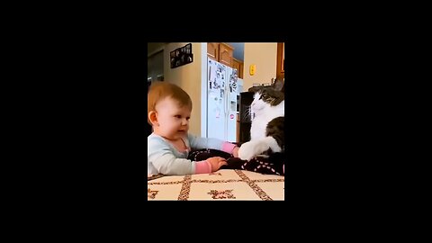 Funny baby video