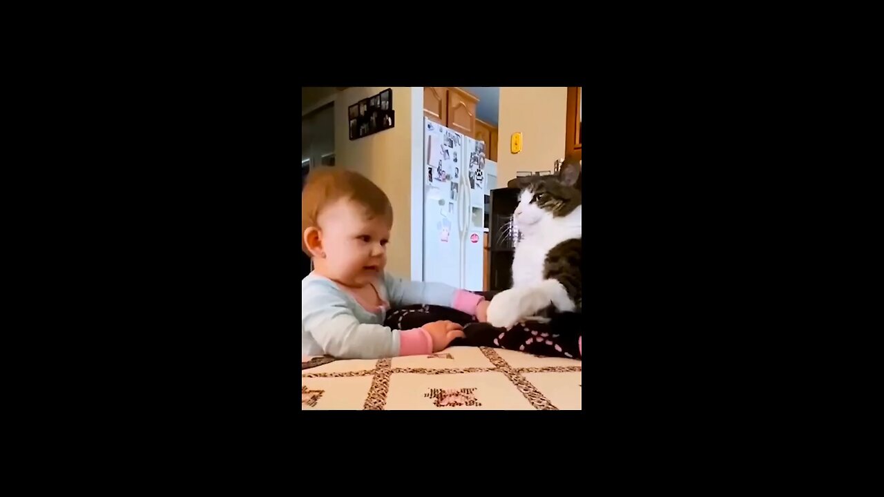 Funny baby video