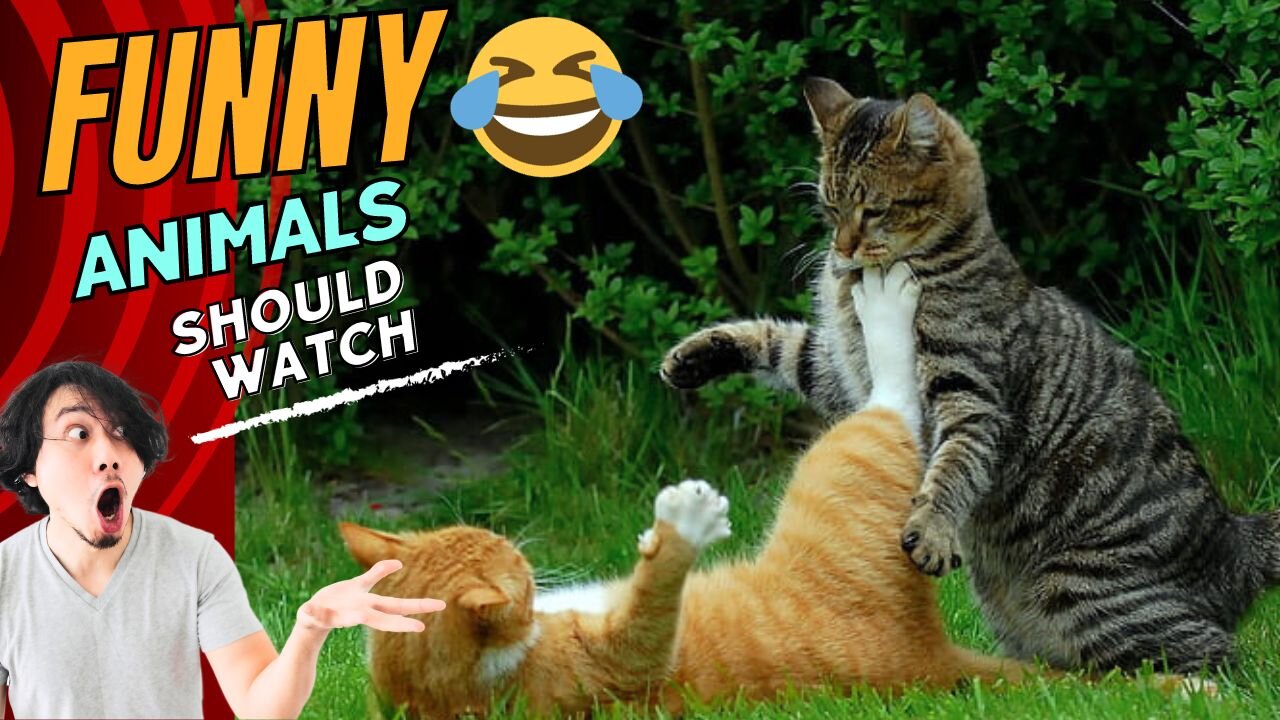 Funniest Animal Videos 2023 🐱🐶 II Funny Animal Videos 🐱🐶😂