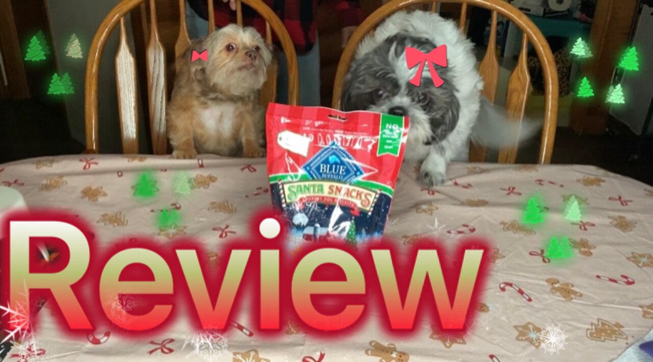 Dogs Review Blue Buffalo Santa Snacks