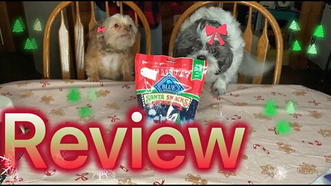 Dogs Review Blue Buffalo Santa Snacks