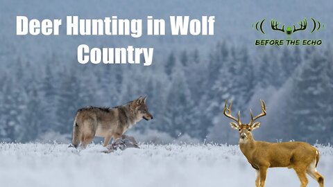 Deer Hunting in Wolf Country