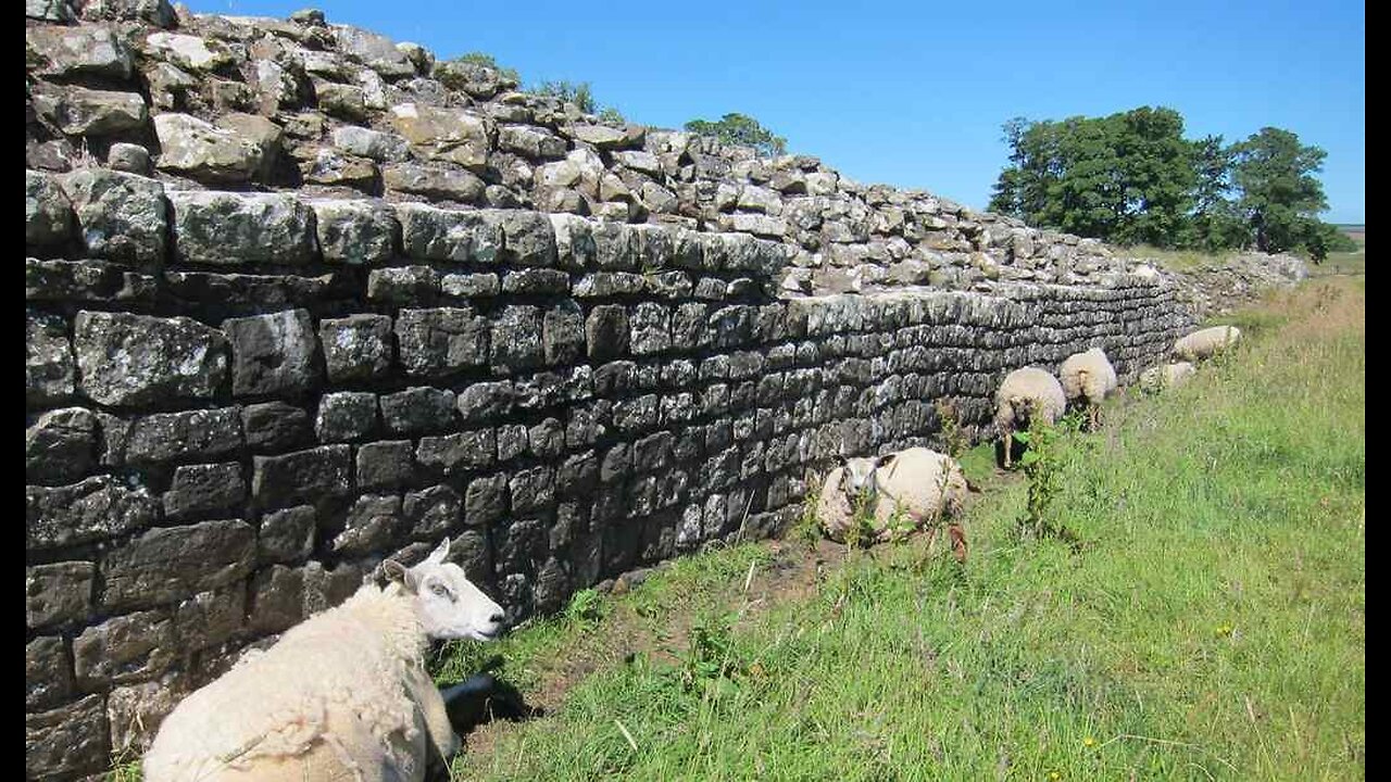 Greek Sheep Sing, 'Everybody Must Get Stoned'