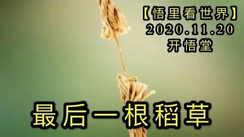 【悟里看世界】KWT269 201120－07 zhygdc 最后一根稻草