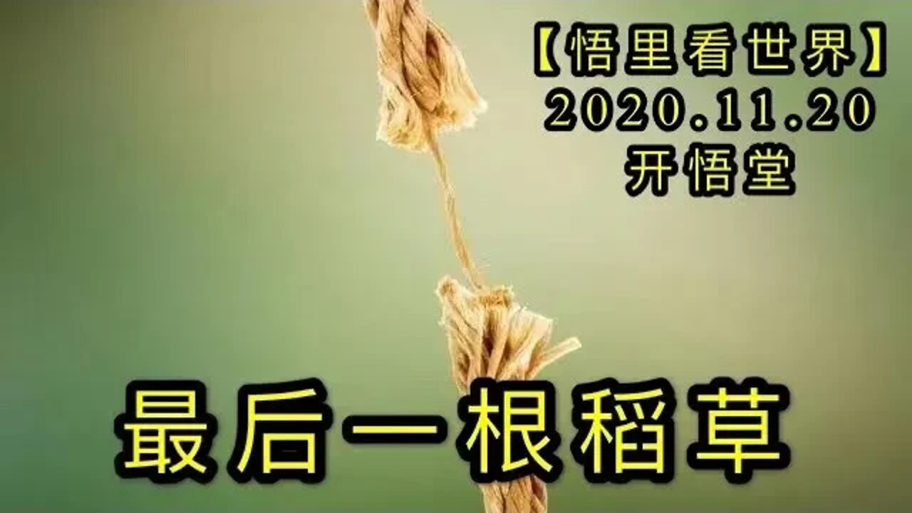 【悟里看世界】KWT269 201120－07 zhygdc 最后一根稻草