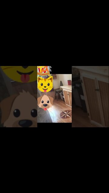 Show off Pet Room Build #shorts