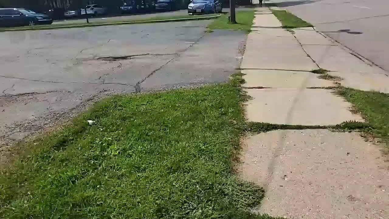 More Kenosha Carnage: Now with 100% more sound