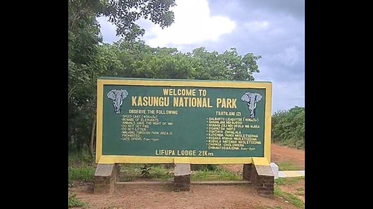 Elephants @ Kasungu National Park|Lifupa camp|Malawi