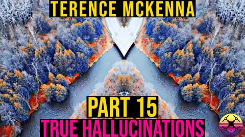 Terence McKenna - True Hallucinations - Part 15