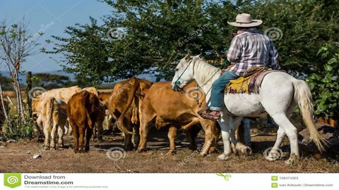 CORAÇÃO DE ROÇA TE ESPERO DOMINGO