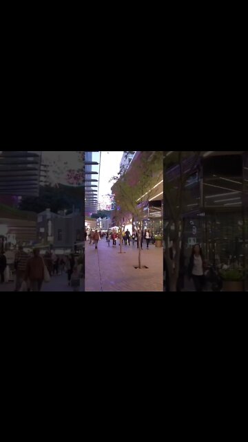 Evening Stroll at Sydney