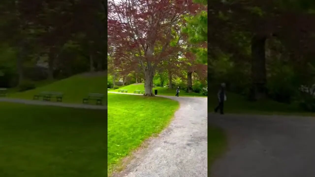Relaxing walk in the park