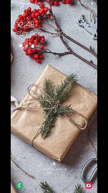 funny cats and dogs / pet animals /cute cats