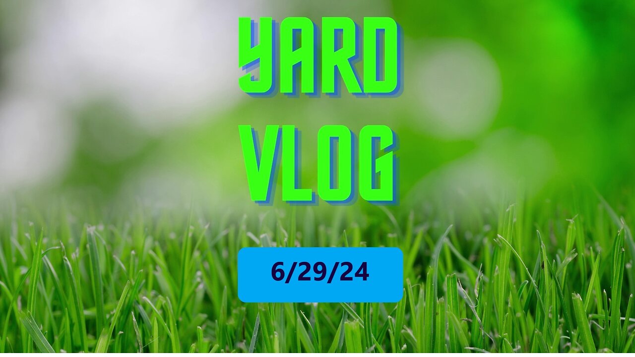 Yard Vlog 6/29/24