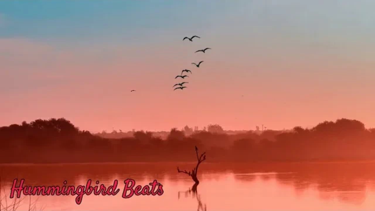 Learning To Fly by FSM Team (No Copyright Music)