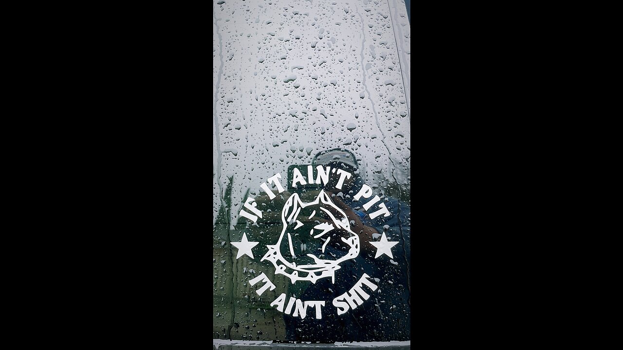 Hades at the dog park edits