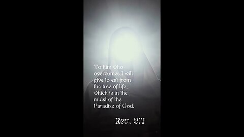 Paradise Of God