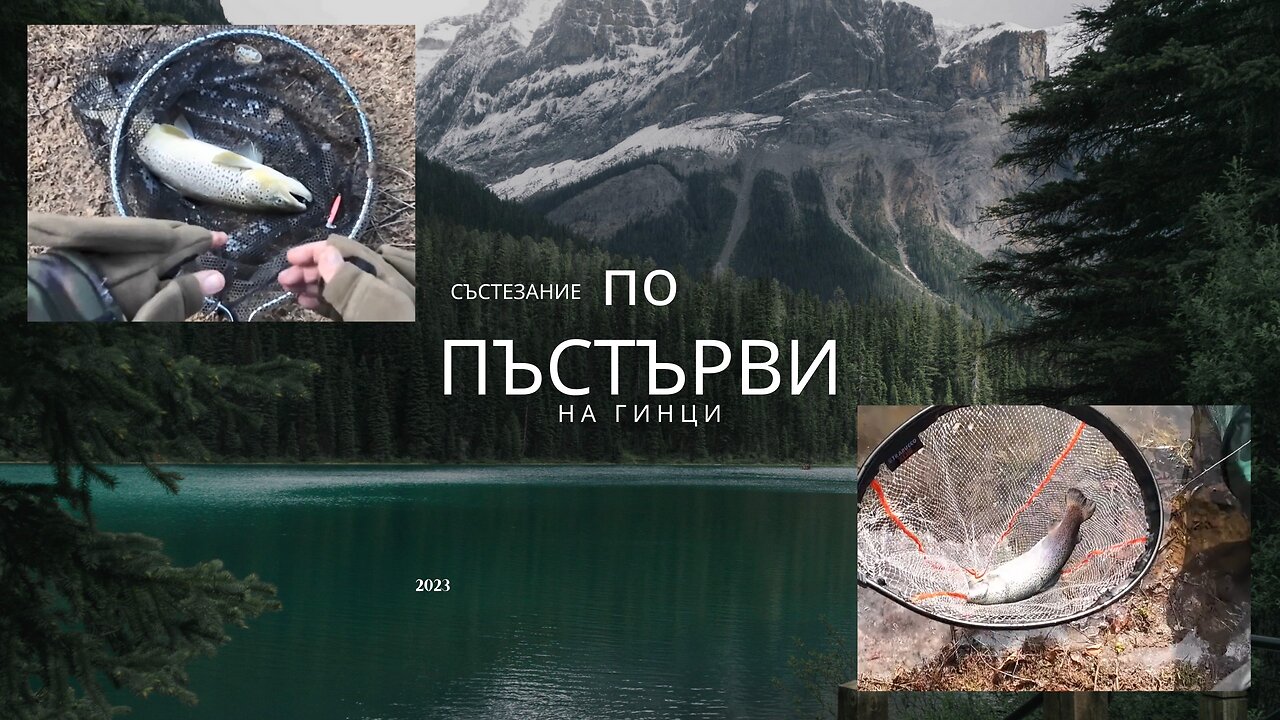 Пъстърви в студа на Гинци - Trout in the cold at Gintzi