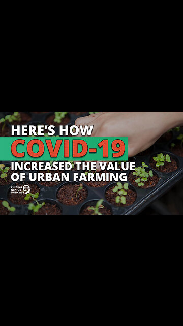 Here’s How COVID-19 Increased the Value of Urban Farming 🥬
