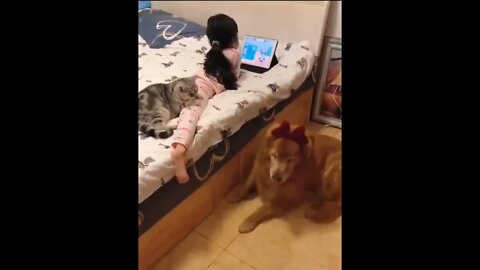 Slumber party..👧🐈🐶😍 #shorts #dog #cat #tiktok