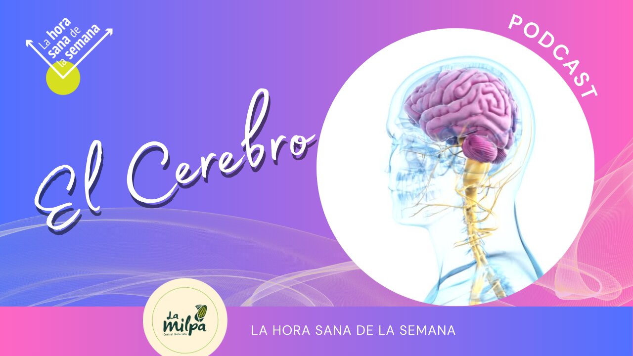 El Cerebro, un misterioso (aún) inquilino y la nutrición