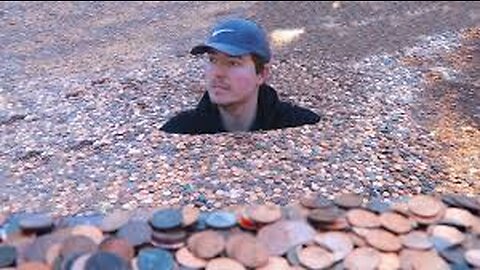 I Put Millions Pennies In My Friends Backyard