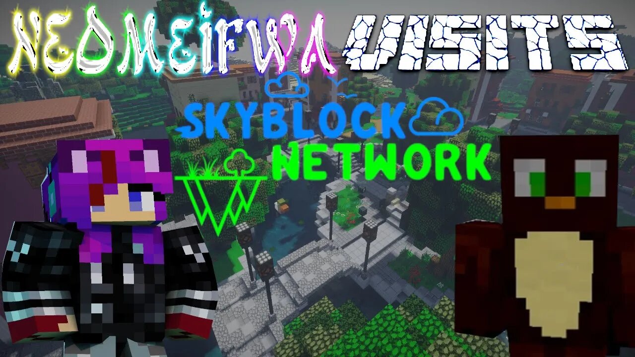 NEOMeifwa Visits: Skyblock Network