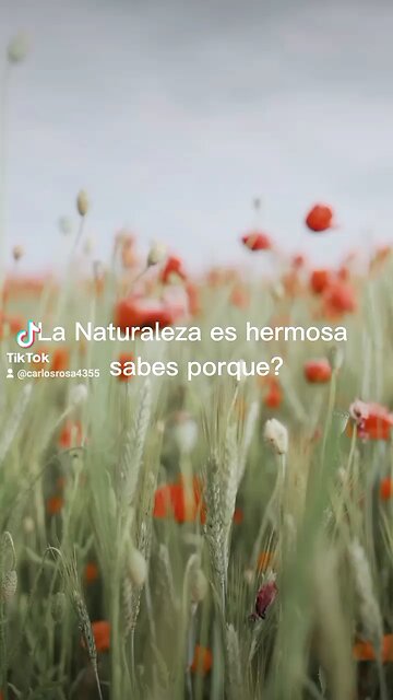 EL TIO LUIS Y SOBRINO CARLOS