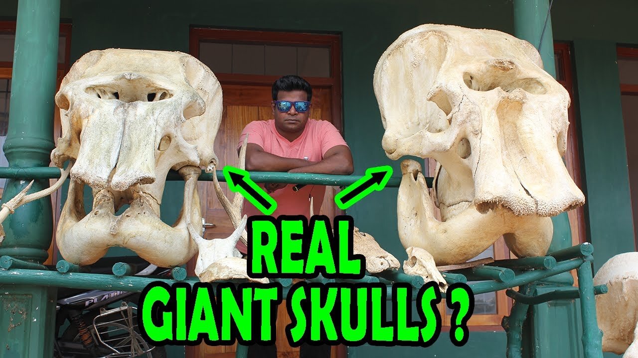 GIANT SKULLS FOUND in Sri Lanka? Evidence of Ravana |Hindu Temple | Praveen Mohan