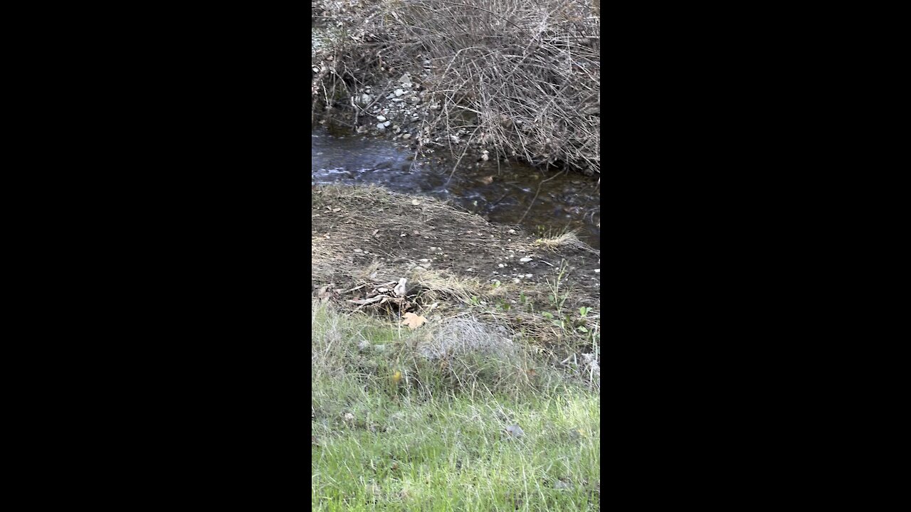 Round Valley Creek